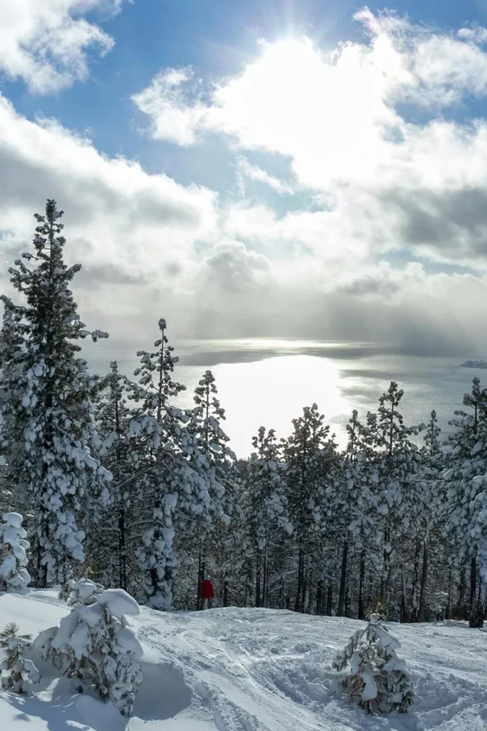 Hôtel pas cher Manigod: Le Relais du Charvin au Bouchet-Mon-Charvin